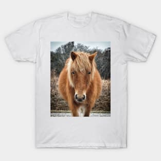 Assateague Island Horse Mieke’s Noe’lani T-Shirt